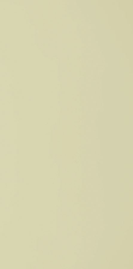 132 SAT GREENLAM 3050х1300 мм (3,965 м2)
