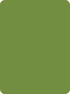 1851/LUCIDA Зеленое яблоко Abet Laminate (3050х1300 мм, PF, L, 0,6)