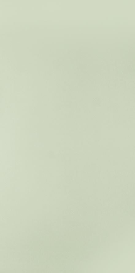 262 SAT GREENLAM 3050х1300 мм (3,965 м2)
