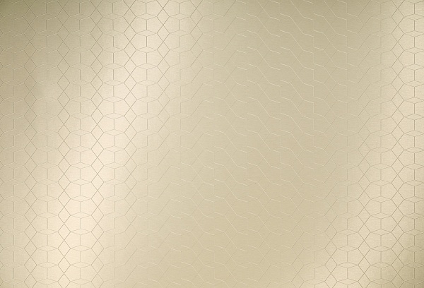 HPL пластик Homapal Perspectives 325/360 Alu Brushed Champagnertone 2440/3050*1220*1 мм