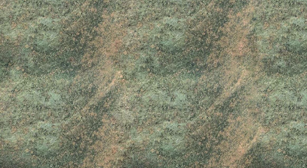 5774 TER GREENLAM 3050х1300 мм (3,965 м2)