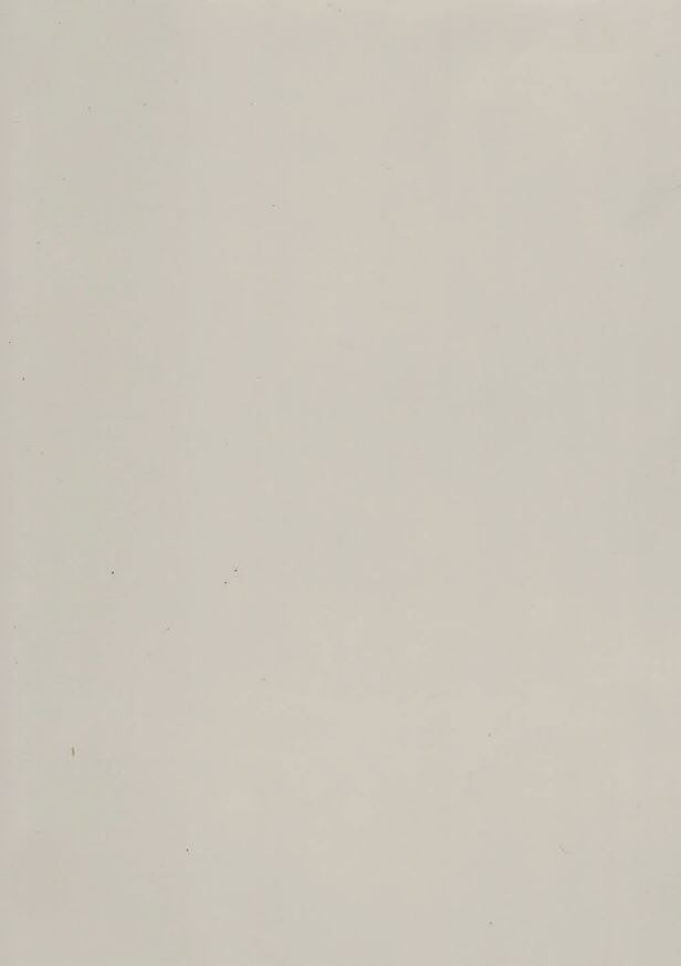 149 SAT GREENLAM 3050х1300 мм (3,965 м2)