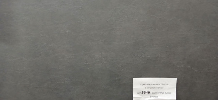 Gentas 5646 Everest Компакт плита HPL 4200х1400х12мм
