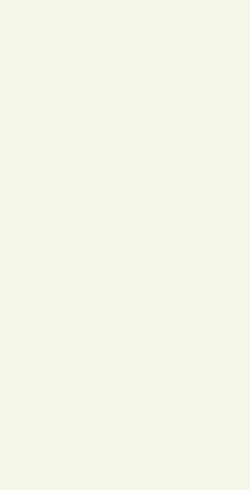 116 SAT GREENLAM 3050х1300 мм (3,965 м2)