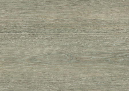H 3146 ST19