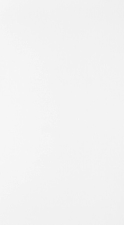 101 SAT GREENLAM 3050х1300 мм (3,965 м2)