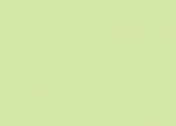 HPL SLOPLAST Мятный 40
