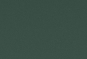 HPL пластик Homapal Magnetic&Boards 211/000U Melamine Green Matt / Chalk (without magnetic effect) 2440/3050*1220*1 мм