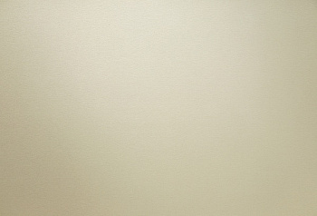 HPL пластик Homapal SRM 325 SRM Alu Brushed Champagne SRM 2440/3050*1220*1 мм