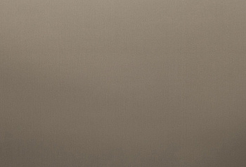 HPL пластик Homapal Elements M2006 Alu Plain Polished Bronzetone 2440/3050*1220*1 мм