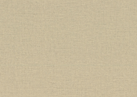 F 416 ST10 F 416 ST10