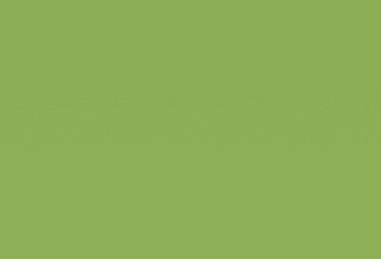 HPL пластик Homapal Magnetic&Boards 8259 Magnetic Board Apple Green Matt / Chalk 2440/3050*1220*1 мм