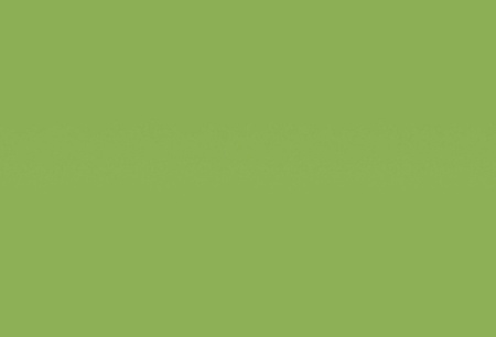 HPL пластик Homapal Magnetic&Boards 8259 Magnetic Board Apple Green Matt / Chalk 2440/3050*1220*1 мм