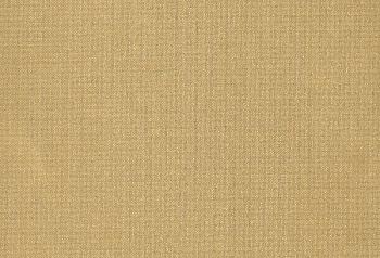 HPL пластик Homapal Elements M5309 Plex Gold 2440/3050*1220*1 мм