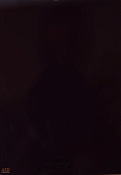 1052P Баклажан глянец