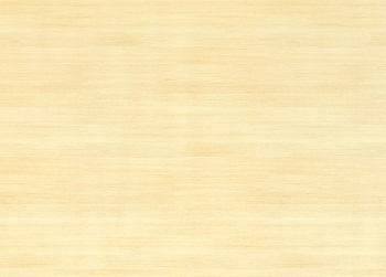 HPL SLOPLAST Дерево светлое 776