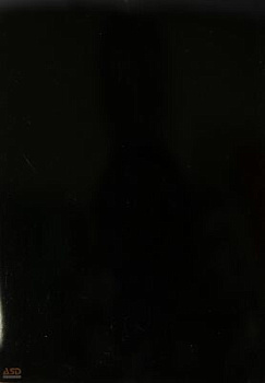 1049P Черный глянец