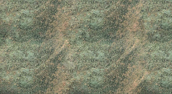 5774 TER GREENLAM 3050х1300 мм (3,965 м2)