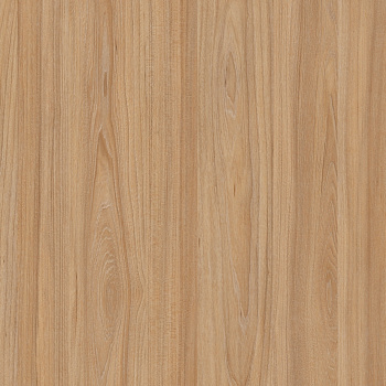 4565 GENTAS NATURAL